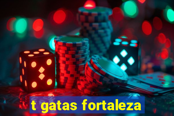 t gatas fortaleza