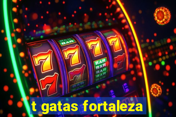 t gatas fortaleza