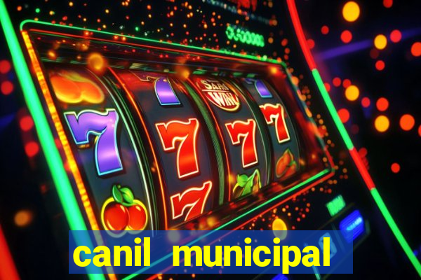 canil municipal porto alegre