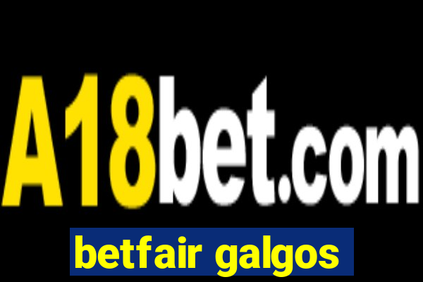 betfair galgos