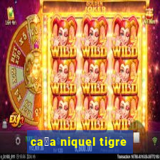 ca莽a niquel tigre