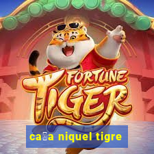 ca莽a niquel tigre