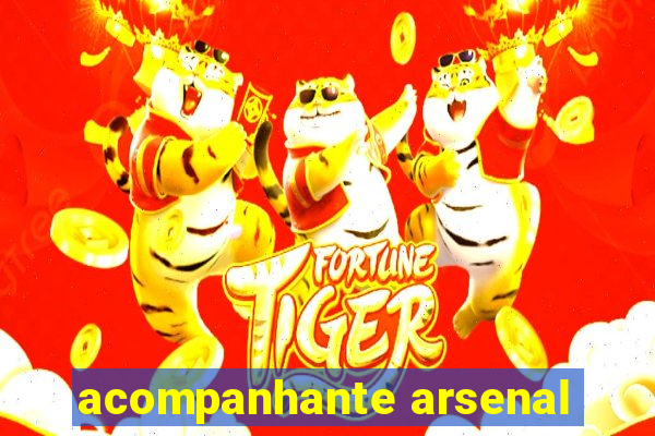 acompanhante arsenal