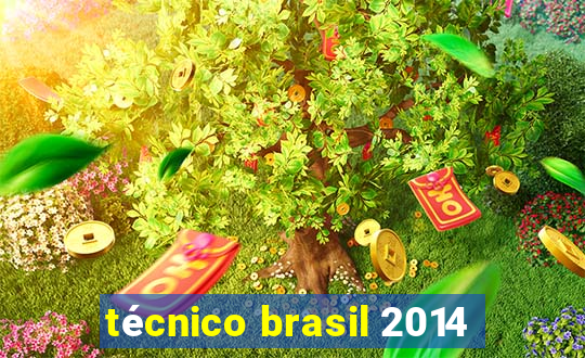 técnico brasil 2014