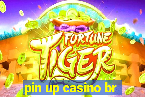 pin up casino br