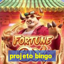 projeto bingo