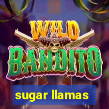 sugar llamas