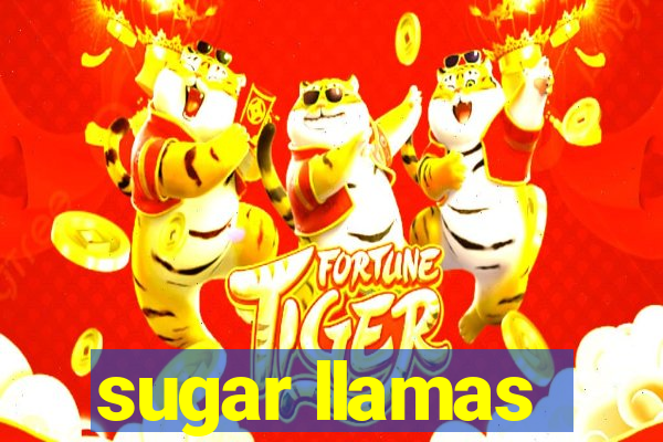 sugar llamas