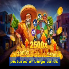 pictures of bingo cards