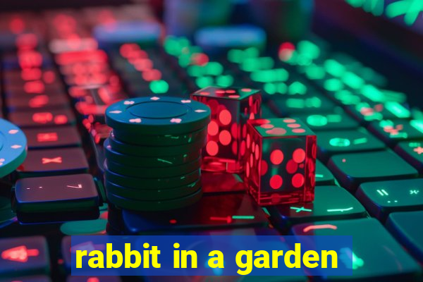 rabbit in a garden