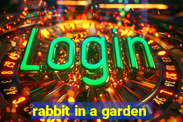 rabbit in a garden