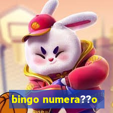 bingo numera??o