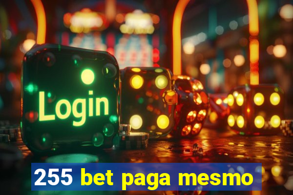 255 bet paga mesmo