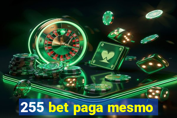 255 bet paga mesmo