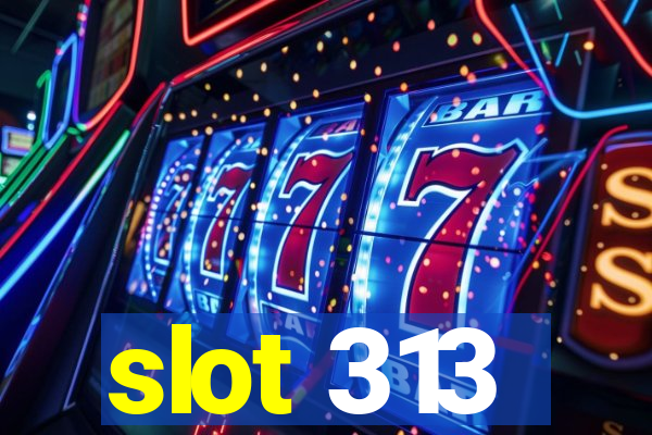 slot 313