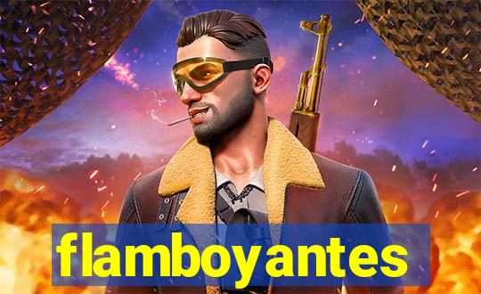 flamboyantes