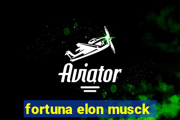 fortuna elon musck