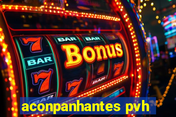 aconpanhantes pvh