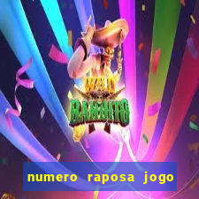 numero raposa jogo do bicho