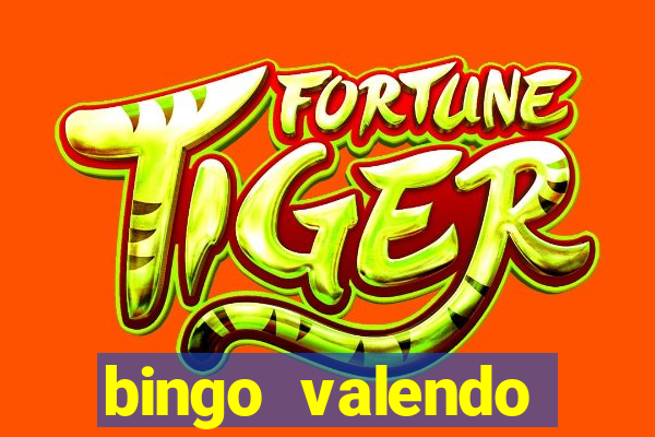 bingo valendo dinheiro online