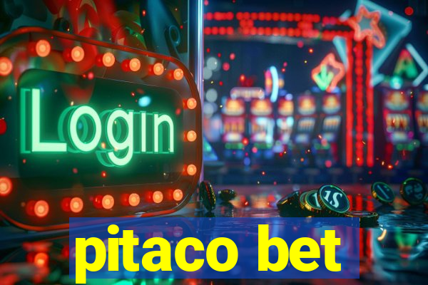 pitaco bet