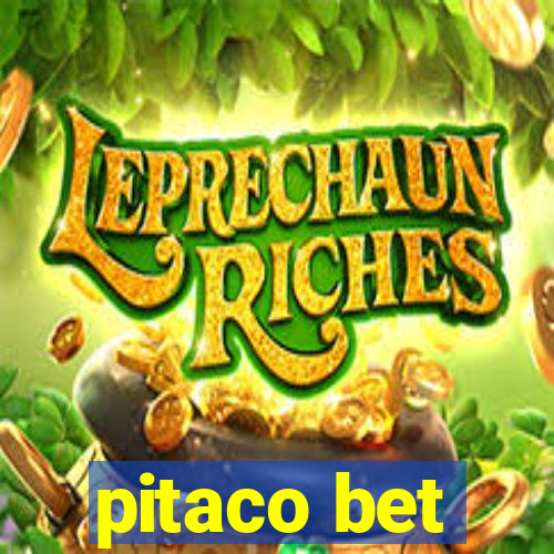 pitaco bet