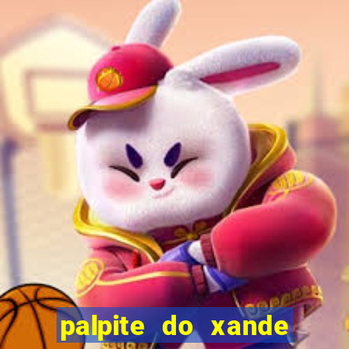 palpite do xande de hoje