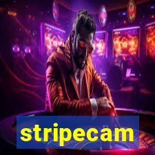 stripecam