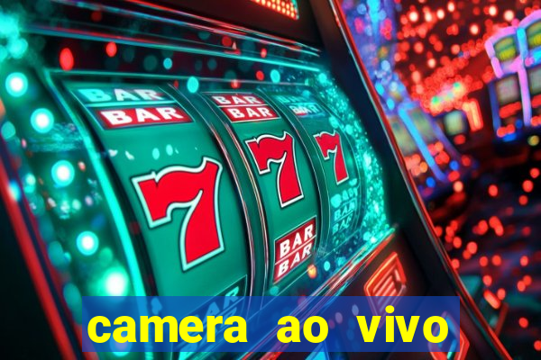 camera ao vivo terminal vila nova cachoeirinha