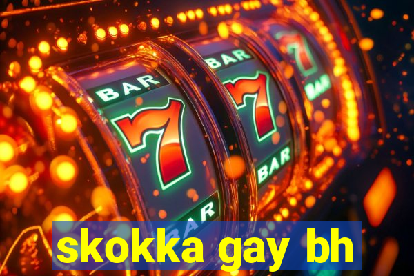 skokka gay bh