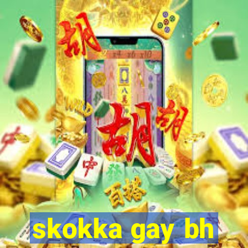 skokka gay bh