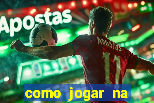 como jogar na lotinha do jogo do bicho