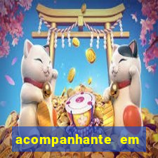 acompanhante em paulo afonso