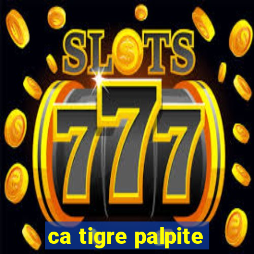 ca tigre palpite