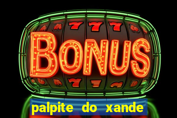 palpite do xande para hoje