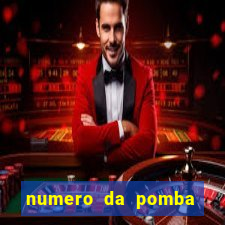 numero da pomba jogo do bicho