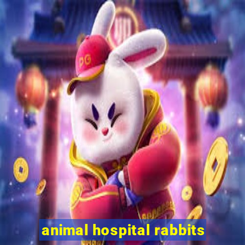 animal hospital rabbits