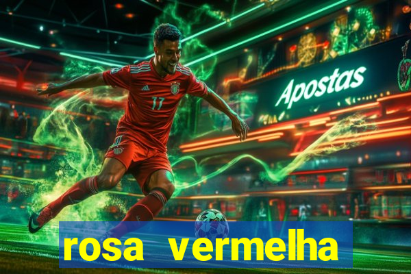 rosa vermelha (letra e cifra)