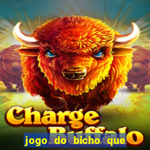 jogo do bicho que paga no pix