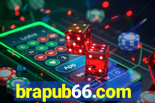 brapub66.com