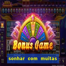 sonhar com muitas formigas juntas jogo do bicho