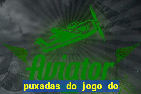 puxadas do jogo do bicho sueli