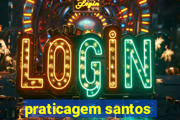 praticagem santos