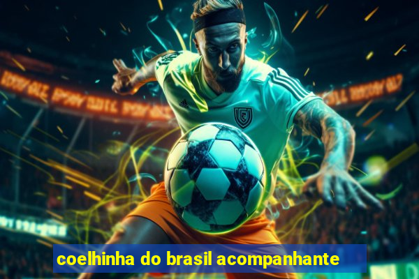 coelhinha do brasil acompanhante