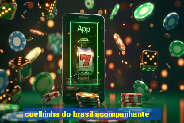 coelhinha do brasil acompanhante