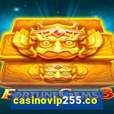 casinovip255.com