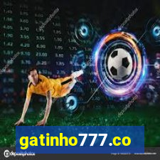 gatinho777.co