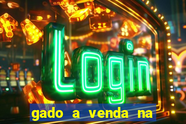 5637