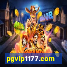 pgvip1177.com