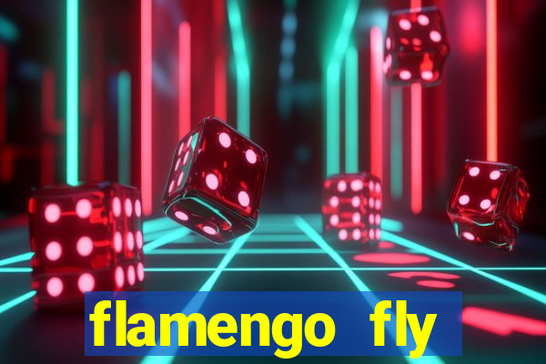 flamengo fly emirates ultimas noticias